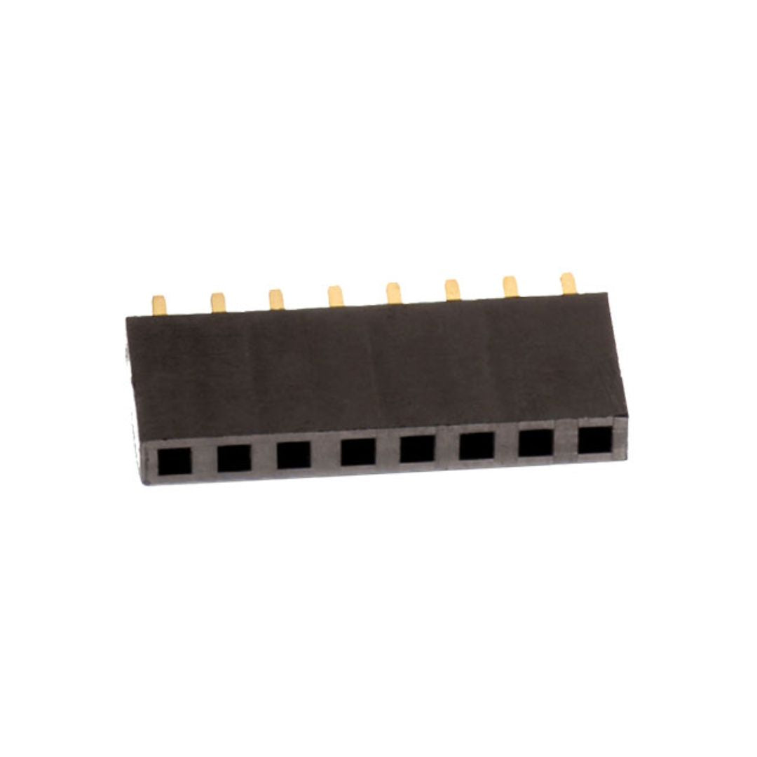 Female Berg Strip 2.54mm Straight Header Pin