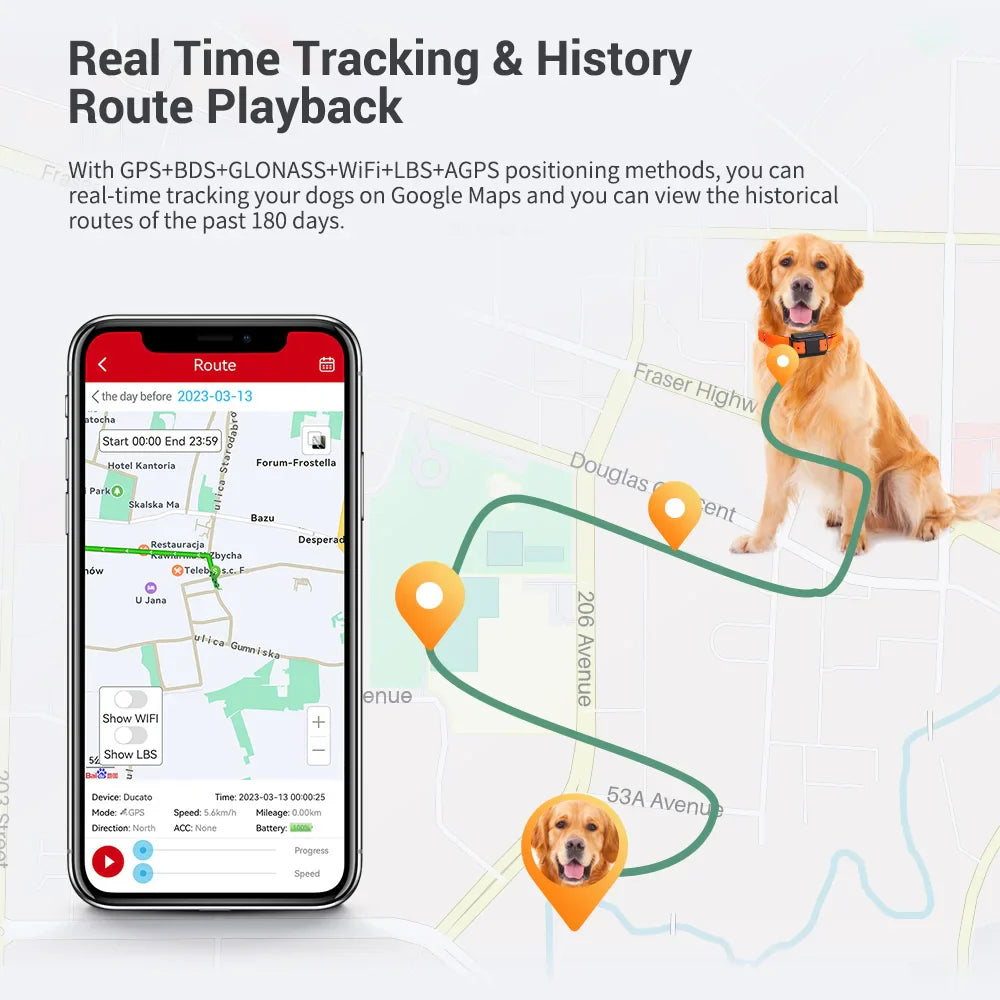 0407GP MiCODUS 4G Dog GPS Tracker Hunting Dogs Collar MP50G 4000mAh Waterproof IPX7 Realtime Track Route Playback Speaker Web & APP