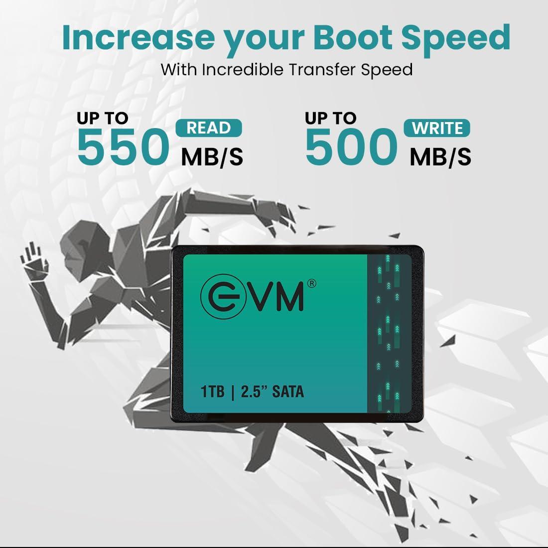 EVM 1TB 2.5 Inch SATA Internal SSD - Read: 550MB/s & Write: 500MB/s - SATA Solid-State Drive - 5Years Warranty (EVM25/1TB)
