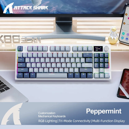 Wireless Hot-Swappable Mechanical Keyboard
