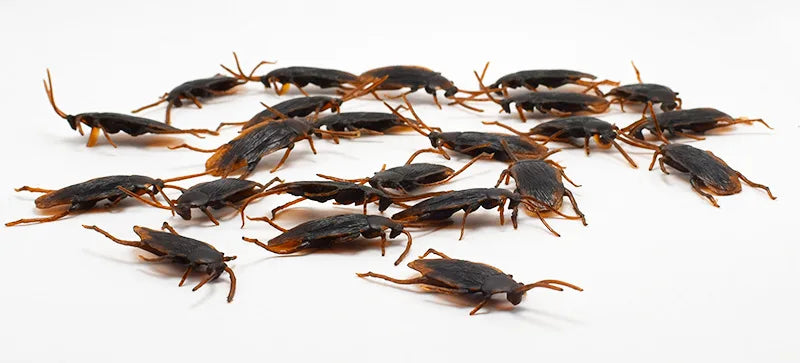 2407TA 5-50Pcs Halloween gadget Plastic Cockroaches Joke Decoration Props Rubber Toy Gags Practical Jokes Toys Plastic Bugs Cockroach