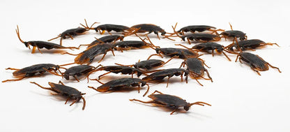 2407TA 5-50Pcs Halloween gadget Plastic Cockroaches Joke Decoration Props Rubber Toy Gags Practical Jokes Toys Plastic Bugs Cockroach