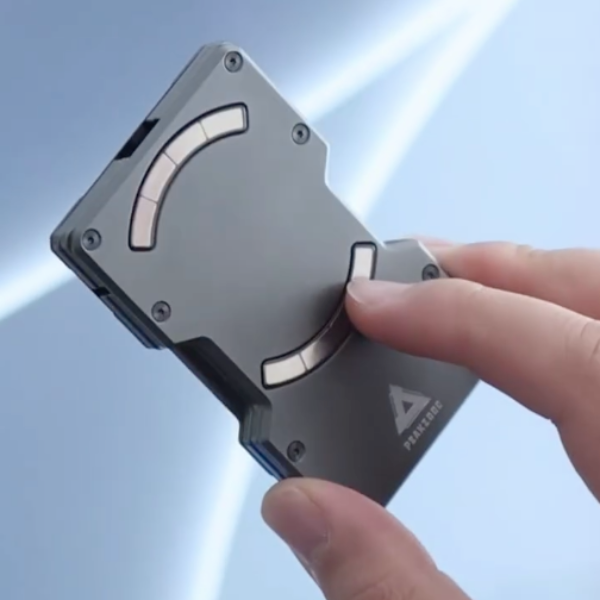 Hybrid Cross-Border Carbon Magnetic Wallet