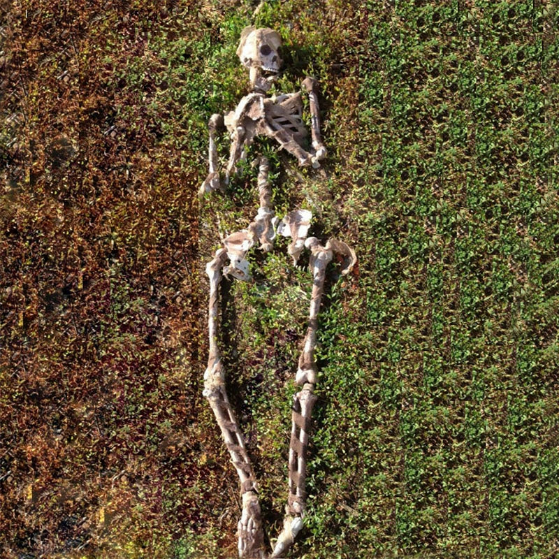 0407BA Halloween Decorations Ghost Festival Horror Funny Artificial Skull Shelf Set Bone Shelf Model Hanging Ghost Pendant