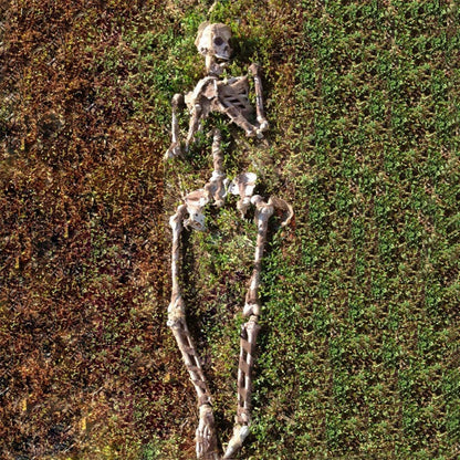 0407BA Halloween Decorations Ghost Festival Horror Funny Artificial Skull Shelf Set Bone Shelf Model Hanging Ghost Pendant